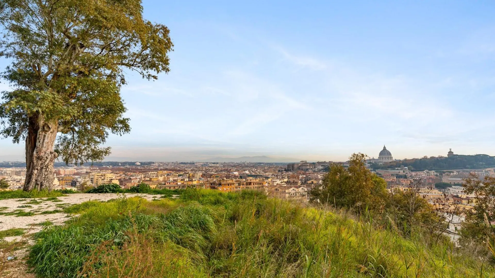 Beautiful Charming Garden Apartment Near St Peter Rome Italy
