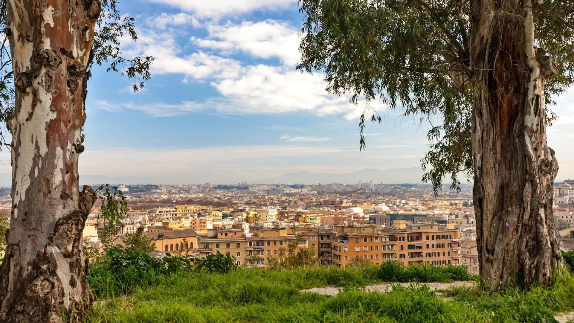Beautiful Charming Garden Apartment Near St Peter Rome Italy