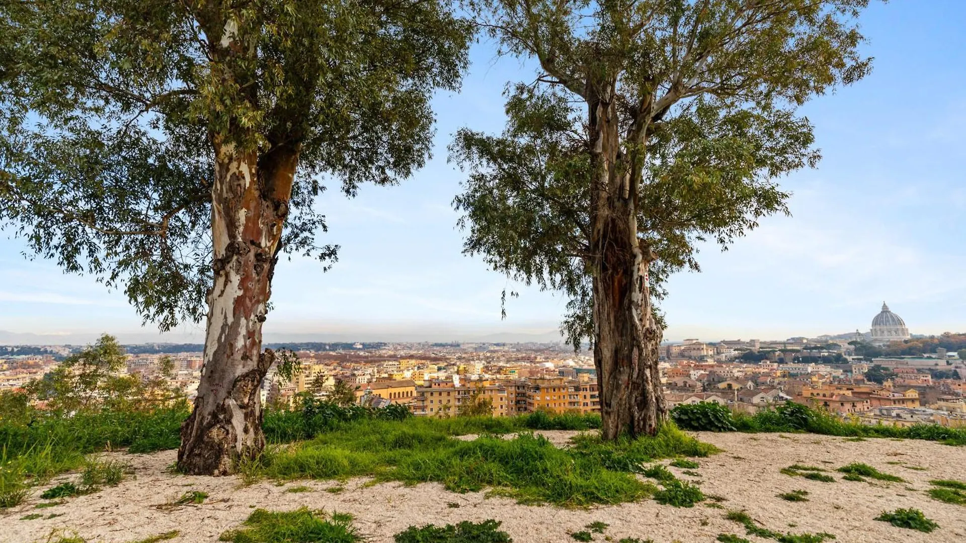 Beautiful Charming Garden Apartment Near St Peter Rome
